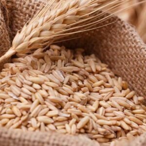 Germen de Trigo